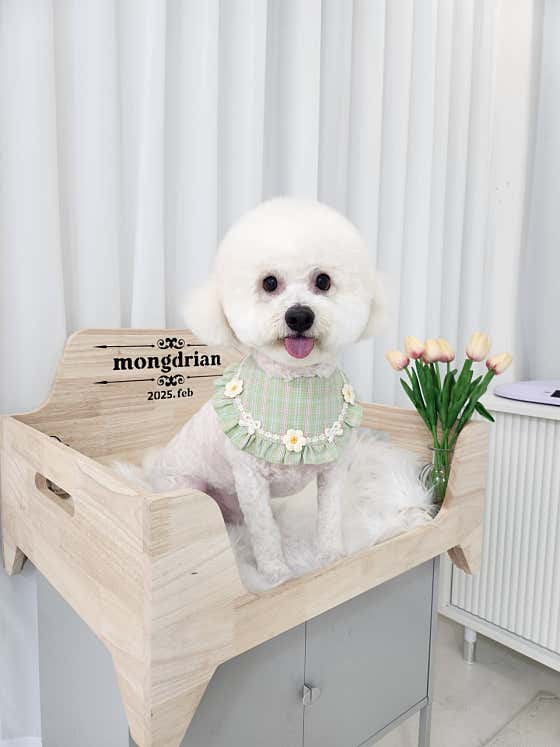 몽드리안 · 네이버 지도·플레이스 4