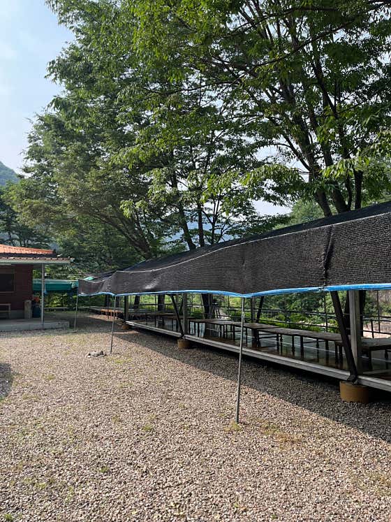 파더스힐 · 네이버 지도·플레이스 5