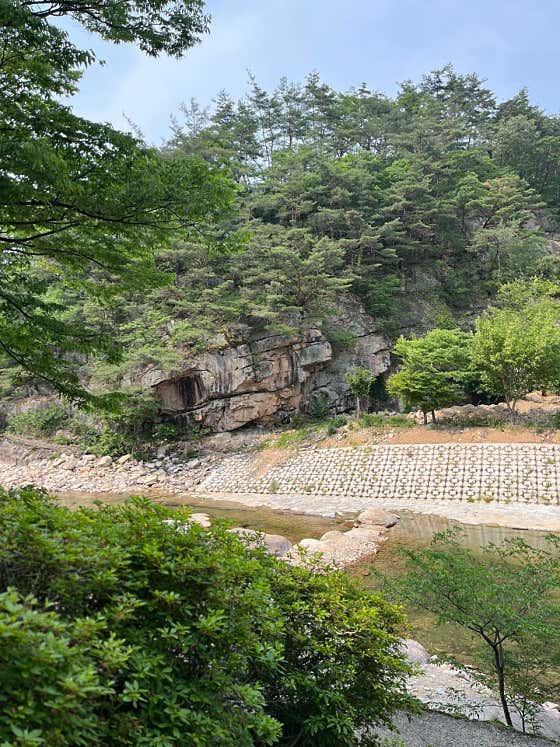파더스힐 · 네이버 지도·플레이스 3
