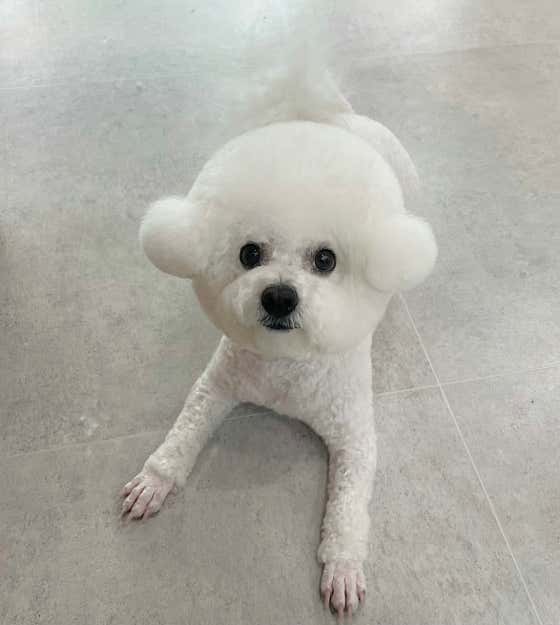 무거동 봄이네 · 네이버 지도·플레이스 8