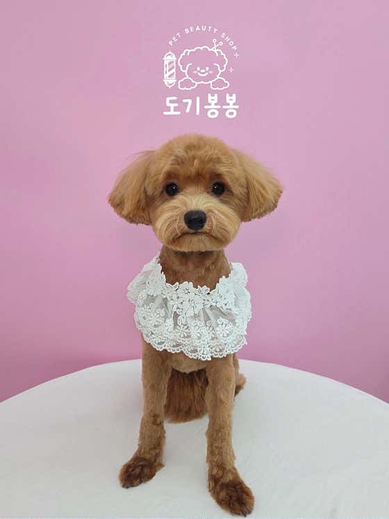 도기봉봉 · 네이버 지도·플레이스 4