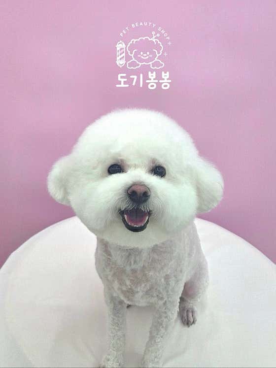 도기봉봉 · 네이버 지도·플레이스 3
