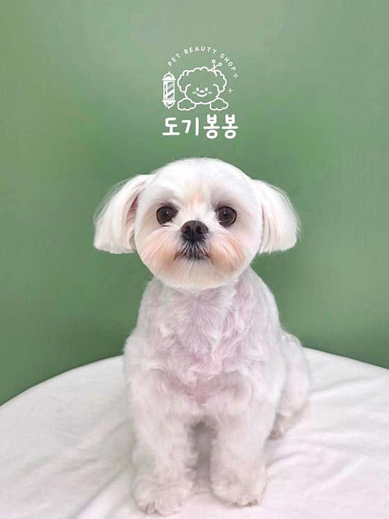도기봉봉 · 네이버 지도·플레이스 5
