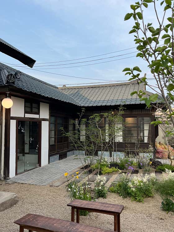 연화