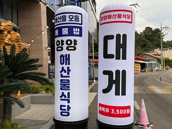 양양해산물식당 · 네이버 지도·플레이스 10