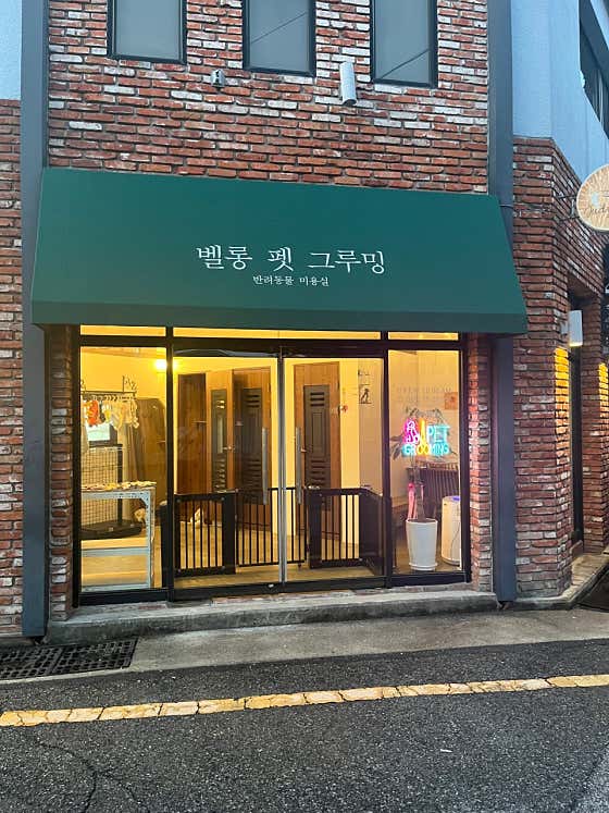 벨롱펫그루밍