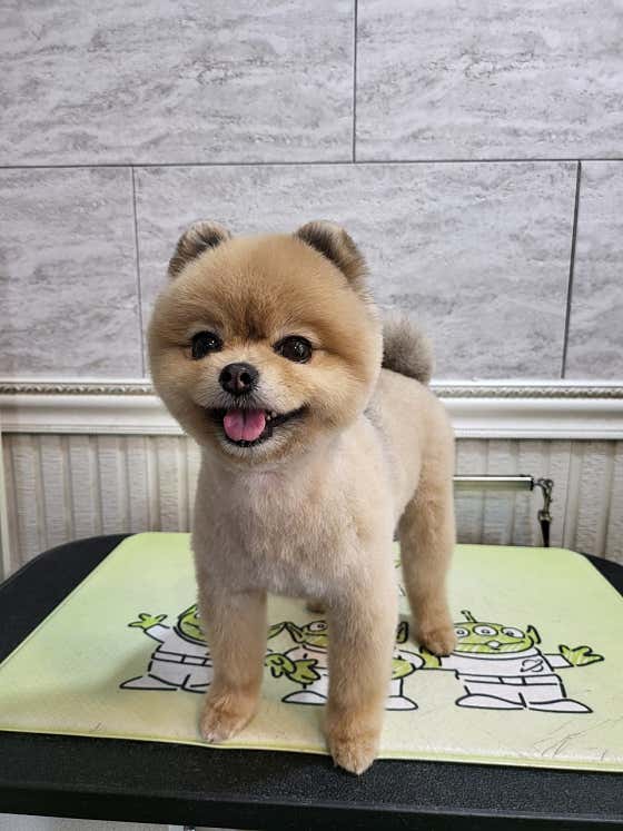 오구오구살롱 · 네이버 지도·플레이스 10