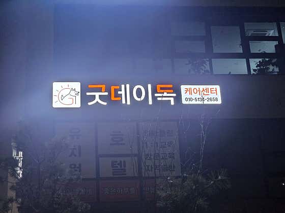 굿데이독 · 네이버 지도·플레이스 9