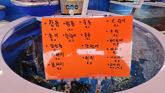 원주 물회집 · 네이버 지도·플레이스 9