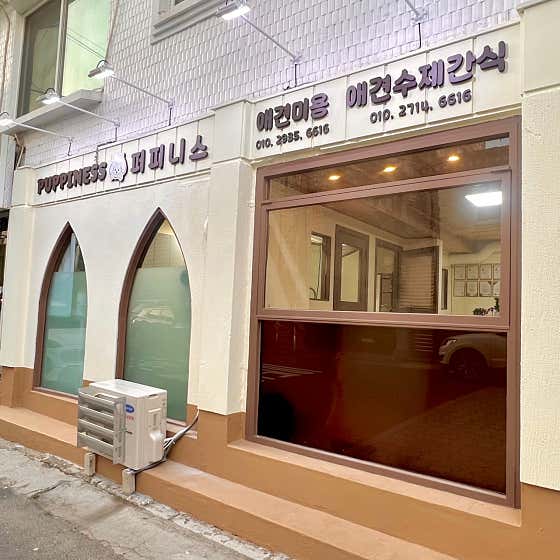 퍼피니스 · 네이버 지도·플레이스 2