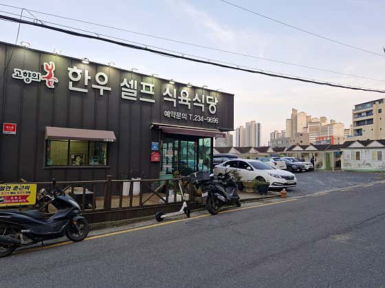 고향의봄