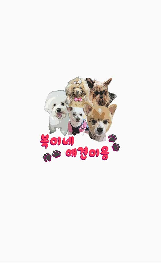 복이네애견미용