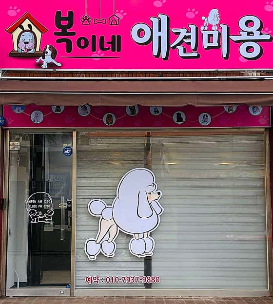 복이네애견미용 · 네이버 지도·플레이스 2