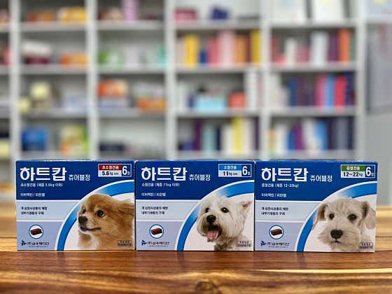 인천제일큰약국 · 네이버 지도·플레이스 7