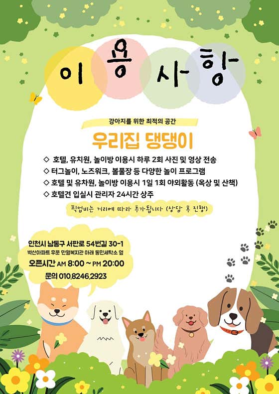 우리집댕댕이