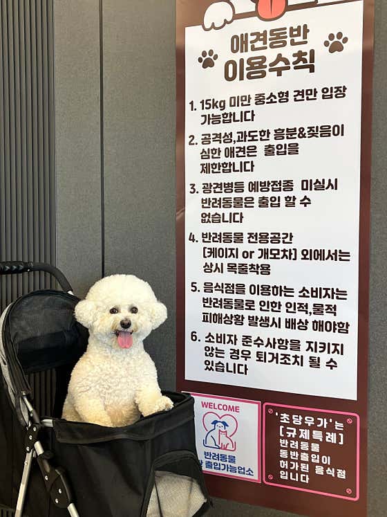 강릉한우 초당우가 · 네이버 지도·플레이스 7
