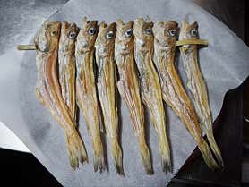 이가든 사진 4