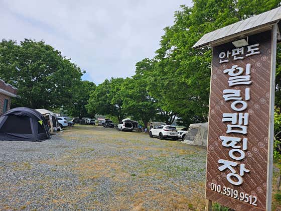 안면도힐링캠핑장