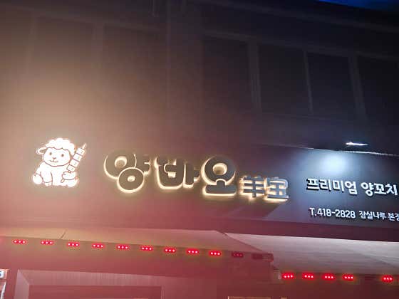 양바오 사진 2