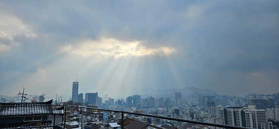 개뿔 · 네이버 지도·플레이스 4