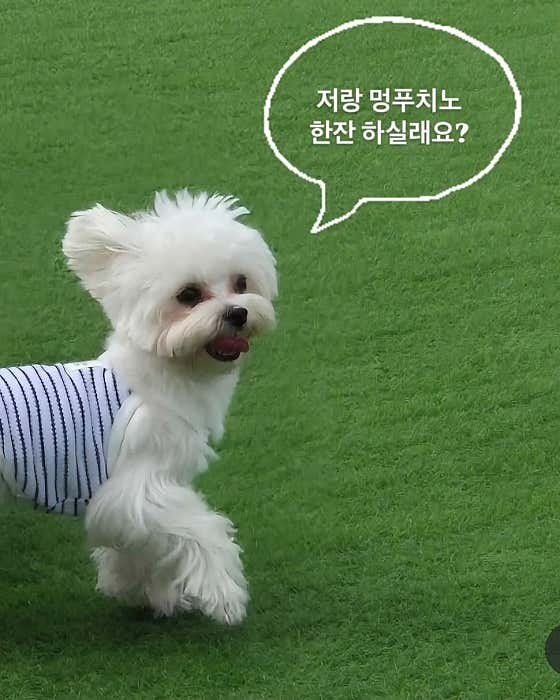 카페404 · 네이버 지도·플레이스 5