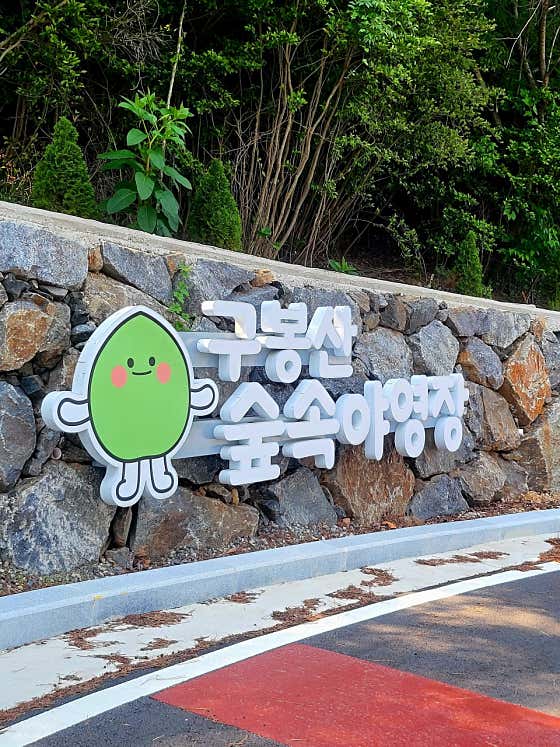 구봉산숲속야영장 대표이미지