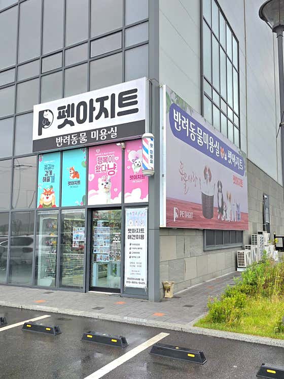 펫아지트 대표이미지