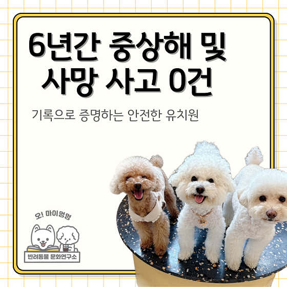 오마이멍멍 강아지유치원&호텔 대표이미지