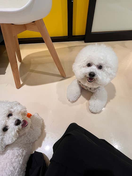 댕굴댕굴미용실 · 네이버 지도·플레이스 9