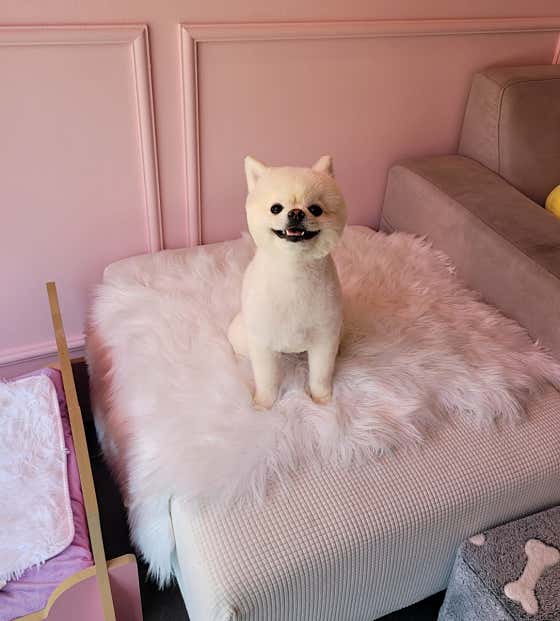 너애개만 · 네이버 지도·플레이스 2