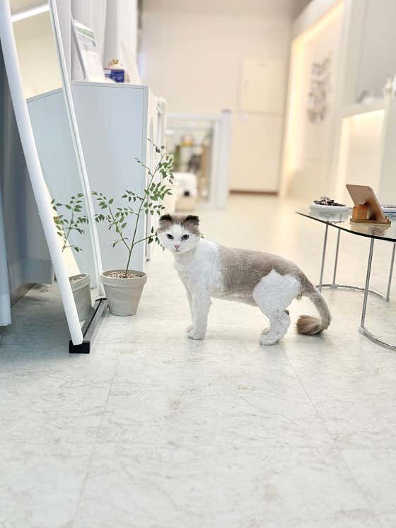 온리애옹 · 네이버 지도·플레이스 6
