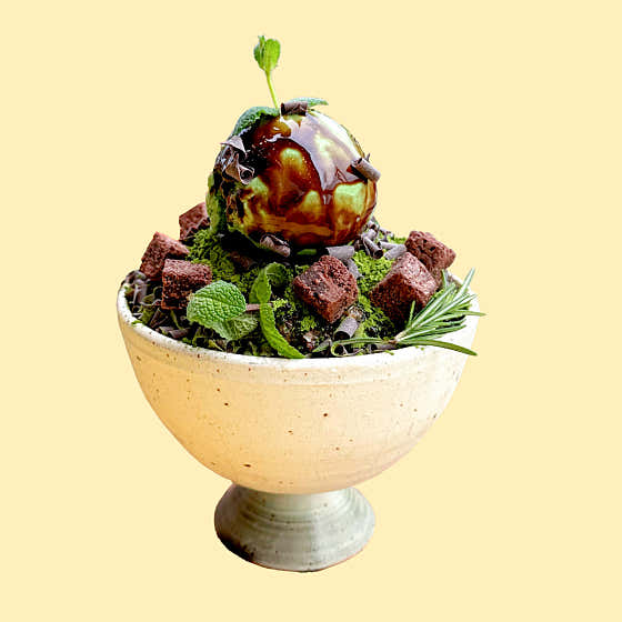 광한루정원 빙수 메뉴 사진(네이버)