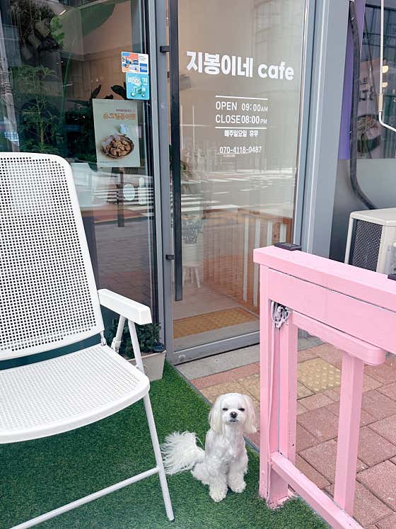지봉이네cafe · 네이버 지도·플레이스 4