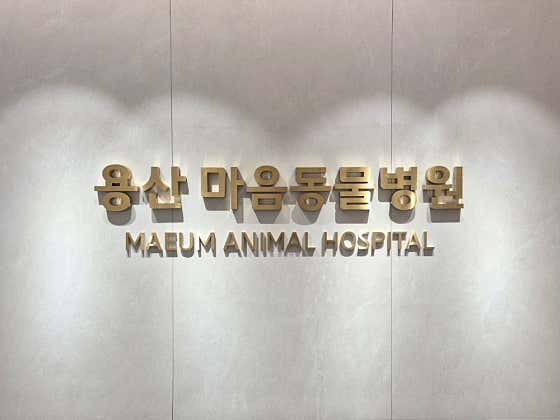 용산마음동물병원 대표이미지