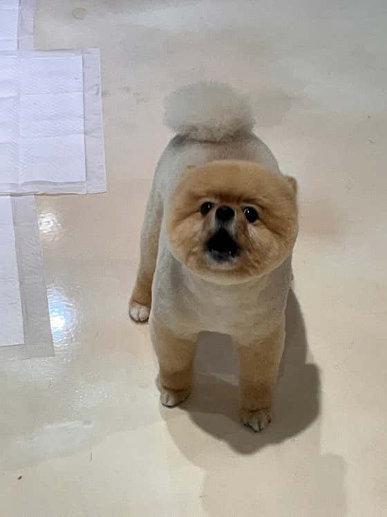 댕굴댕굴미용실 · 네이버 지도·플레이스 2