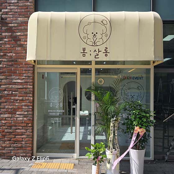 봄살롱 · 네이버 지도·플레이스 3