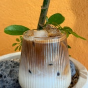 ICE수제바닐라빈라떼 메뉴 사진(네이버)