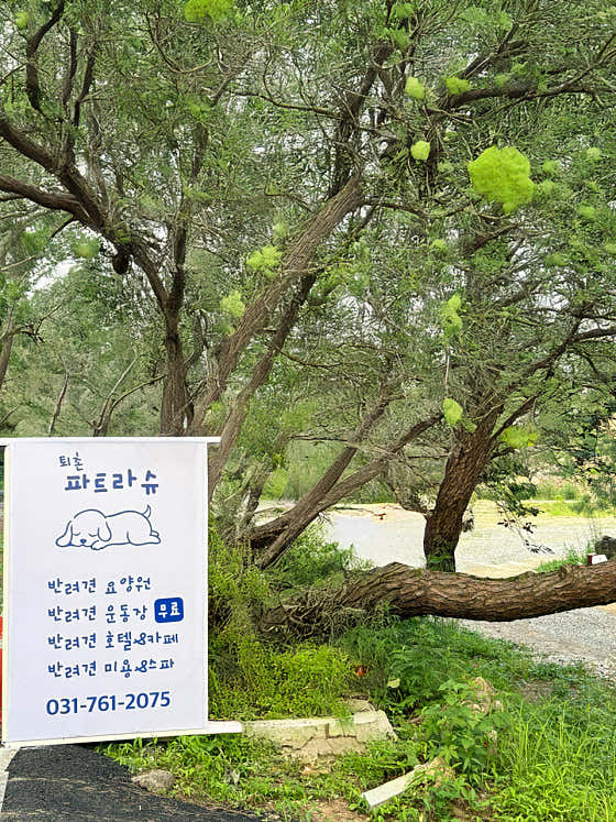파트라슈 · 네이버 지도·플레이스 1