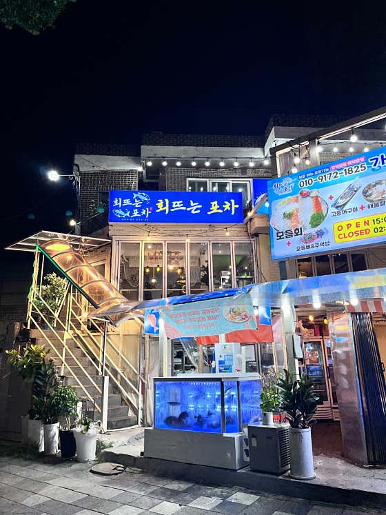 회뜨는포차