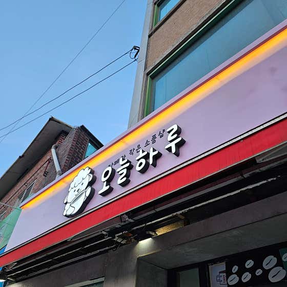 오늘하루