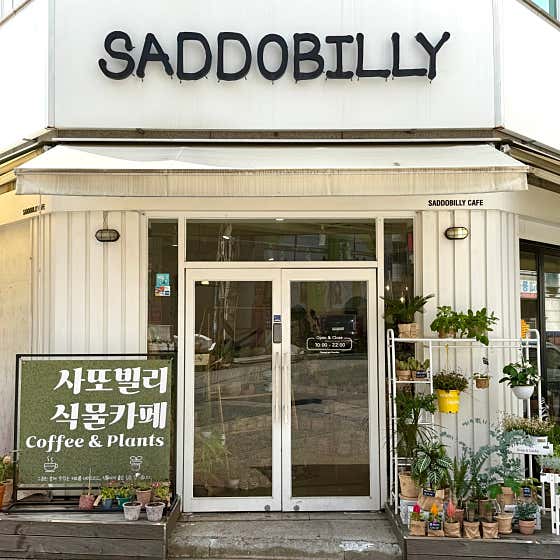 사또빌리 식물카페