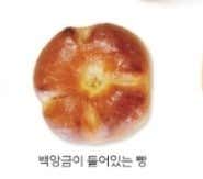 국화빵 메뉴 사진(네이버)
