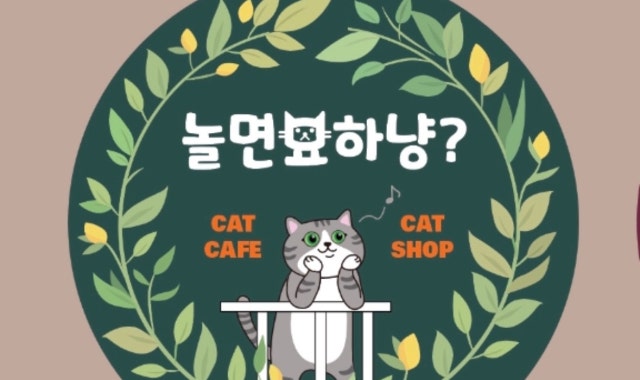 놀면묘하냥고양이카페 대표 사진