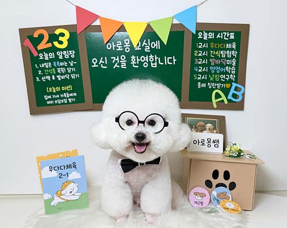 아로몽 · 네이버 지도·플레이스 2