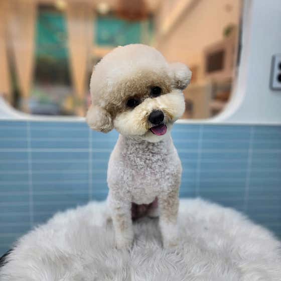 멍샵 · 네이버 지도·플레이스 5