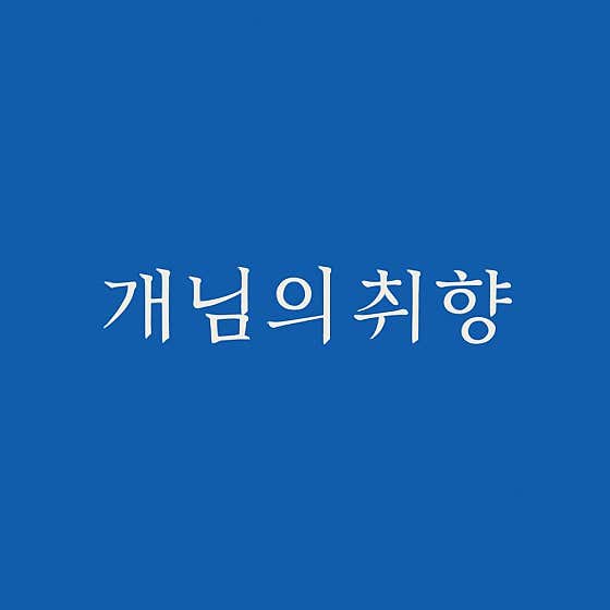 개님의 취향 대표이미지