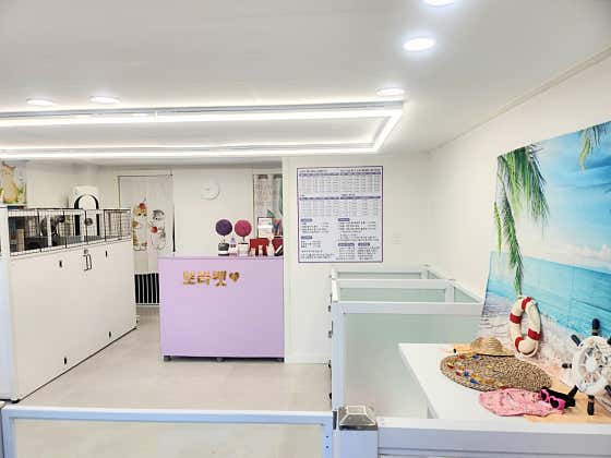 보라펫미용실 대표이미지