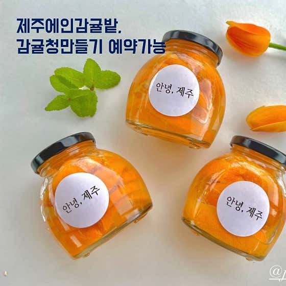 수제청만들기 클래스 메뉴 사진(네이버)