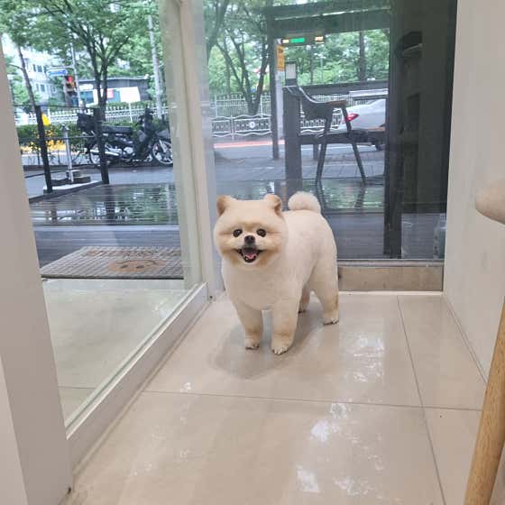 꼬순내 · 네이버 지도·플레이스 9