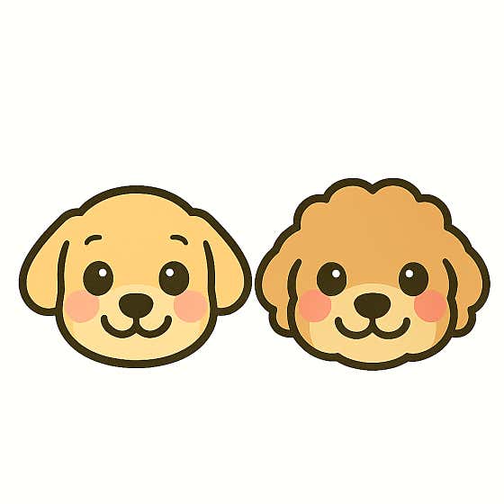 포근한 손길
